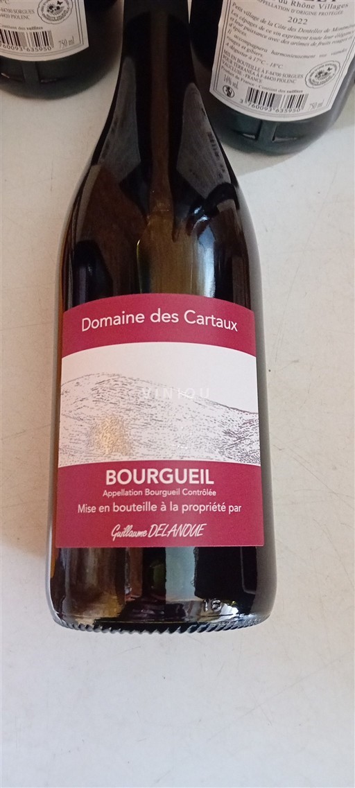 Vale do Loire Bourgueil Domaine Des Cartaux 2024