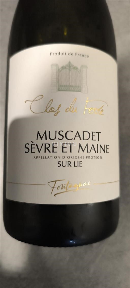 Vallée de la Loire Muscadet-sèvre-et-maine Clos du Ferré Fontagnac 2023