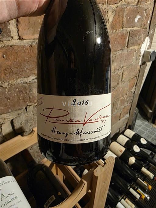 Thung lũng sông Loire Touraine Henry Marionnet Première Vendange 2016