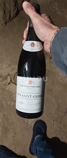 Burgundija Nuits-Saint-Georges Bouchard Père & Fils 2017