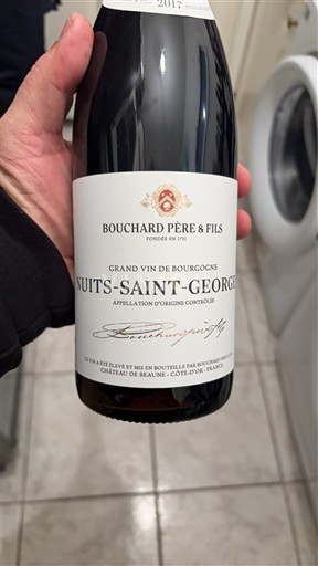 Burgundy Nuits-Saint-Georges Bouchard Père & Fils 2017