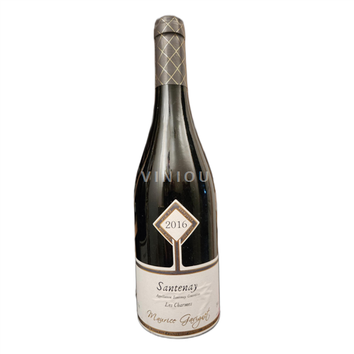 Borgogna Santenay Maurice Gavignet Les Charmes 2016