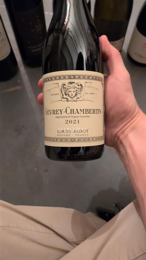 Borgoña Gevrey-Chambertin Louis Jadot 2021