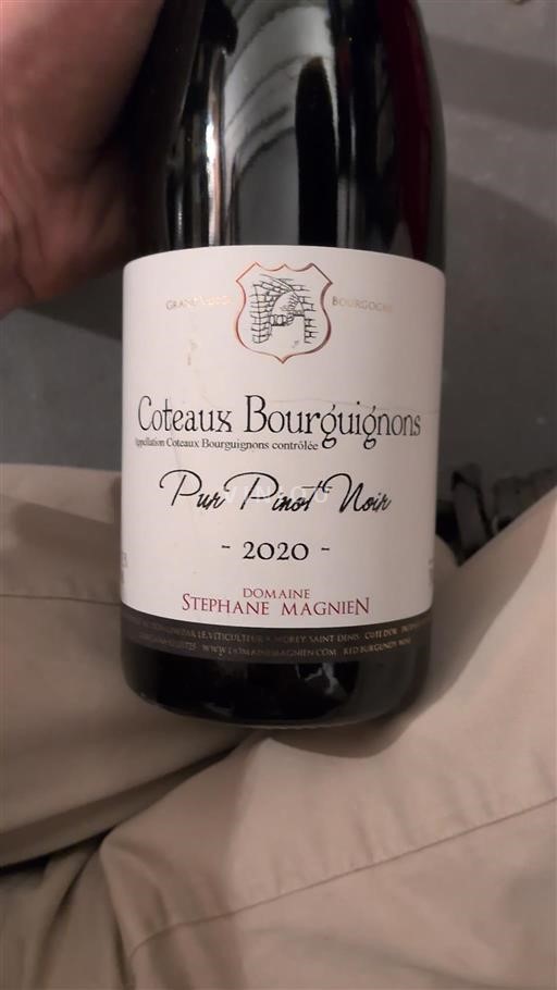 Burgundy Coteaux Bourguignons Domaine Stephane Magnien Pur Pinot Noir 2020