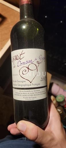 Sudoeste Côtes de Gascogne Domaine Peyris Esprit 2017
