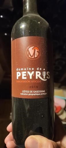 Sudoeste Côtes de Gascogne Domaine Peyris 2019