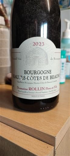 Borgonha Não especificado Domaine Rollin Père et Fils 2023