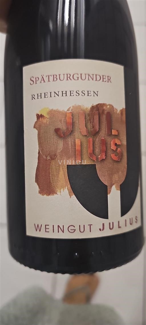 Renania. No especificado Weingut Julius Spätburgunder 2012