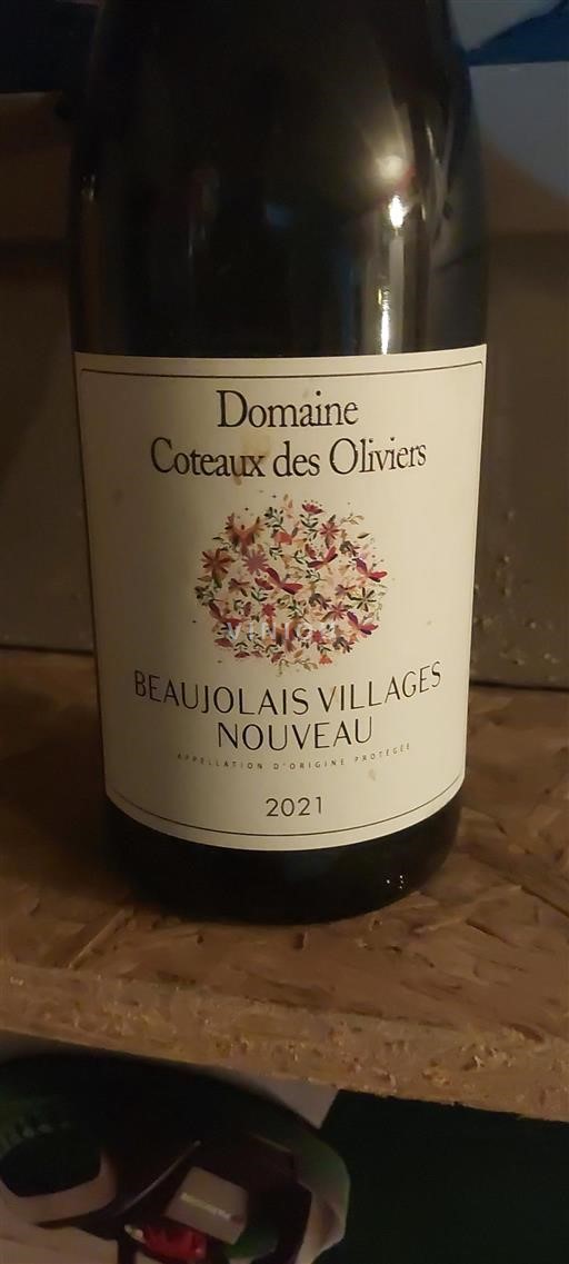 Beaujolais Beaujolais Villages Domaine Coteaux des Oliviers 2021