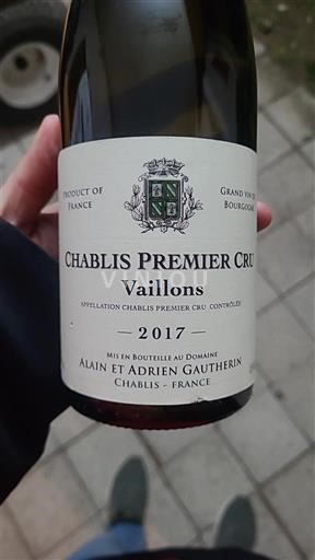 Bourgogne Chablis Premier Cru Alain et Adrien Gautherin Vaillons 2017