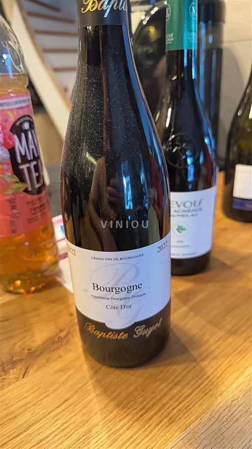 Bourgogne Baptiste Guyot 2022