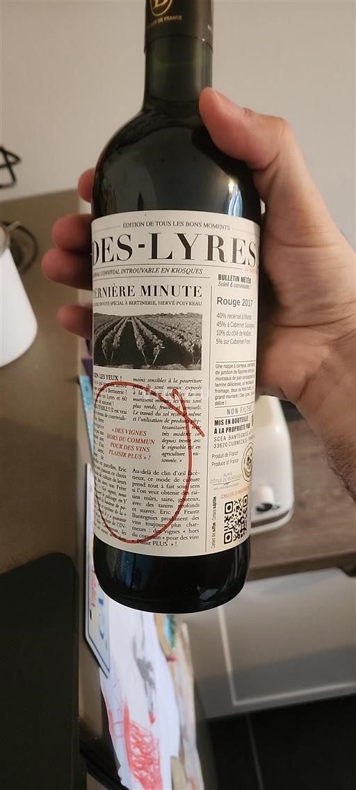 Vin Rouge sec Dernière Minute Des Lyres 2017 France Bordeaux Côtes-de-Bordeaux AOC