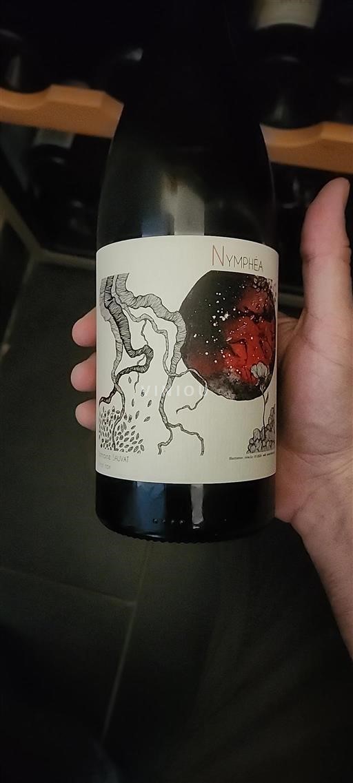 Loire Valley Unspecified Domaine Sauvat Nymphéa 2024