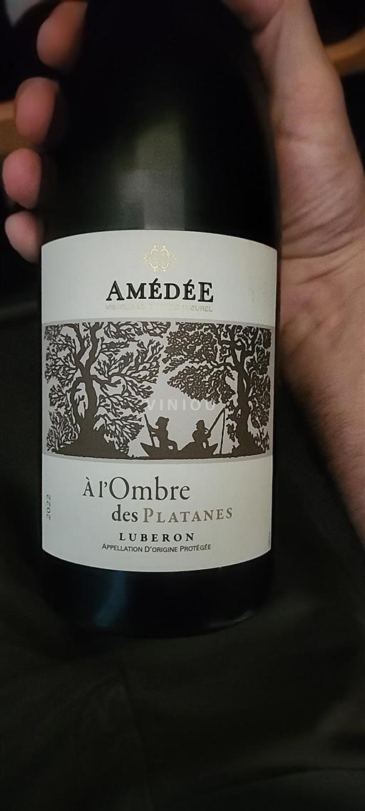 Rhônevallei Luberon Amédée À l'Ombre des Platanes 2022