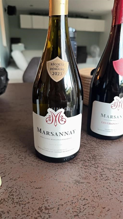 Bourgondië Marsannay Château Marsannay 2023