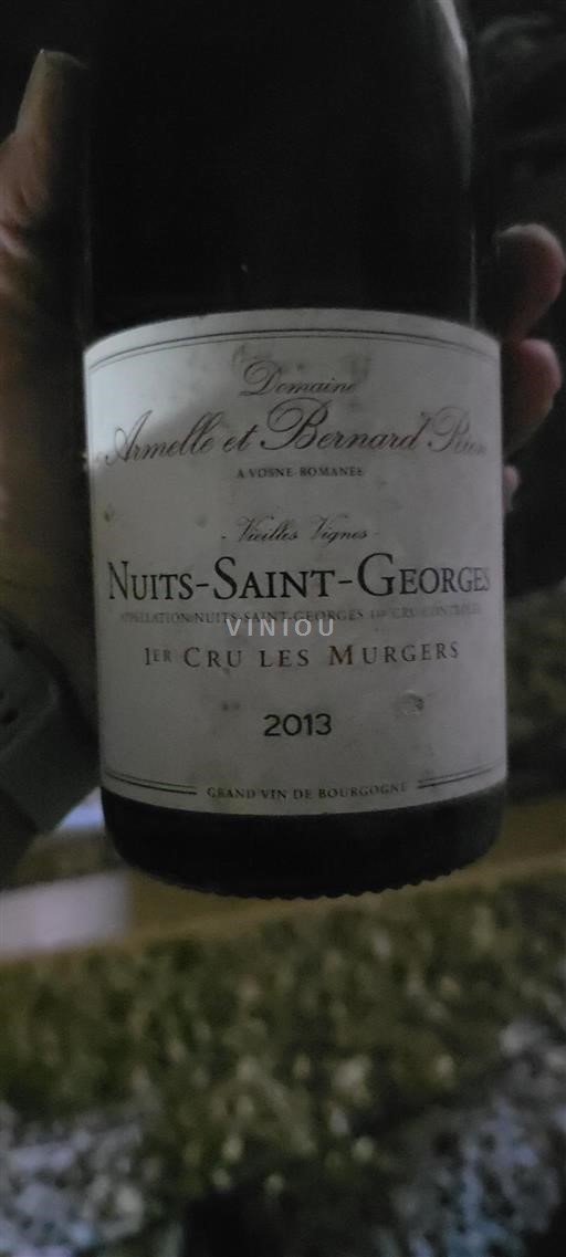 Burgund Nuits-Saint-Georges Premier Cru Domaine Armelle et Bernard Rion Vieilles Vignes 2013