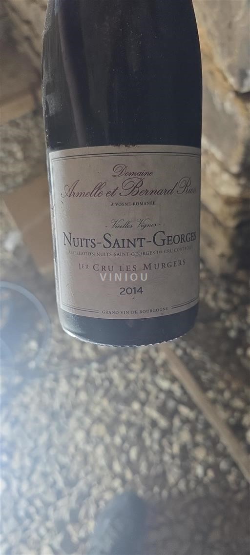 Burgund Nuits-Saint-Georges Premier Cru Domaine Armelle et Bernard Rion Vieilles Vignes 2014