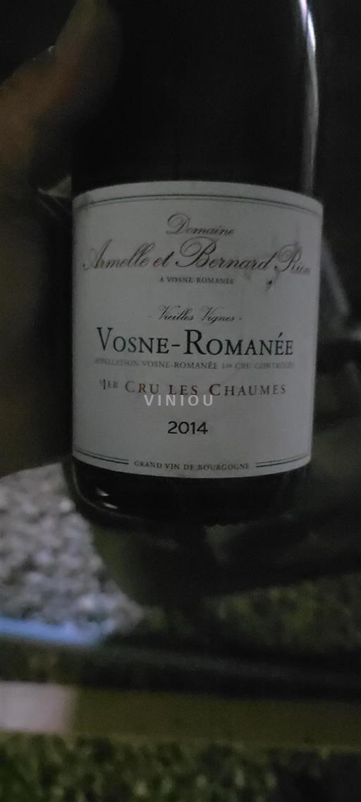 Borgogna Vosne-Romanée Premier Cru Domaine Anne et Bernard Rion Vieilles Vignes 2014
