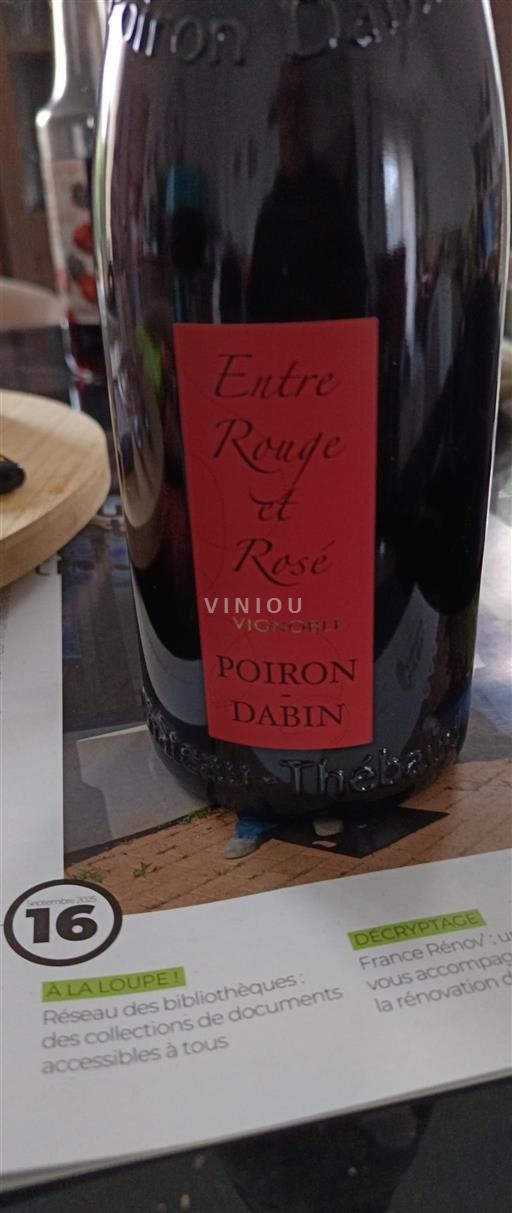 Loirevallei Niet gespecificeerd Poiron Dabin Entre Rouge et Rosé Niet-geïntegreerd