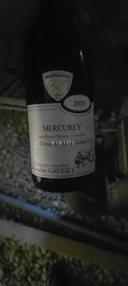 Borgogna Mercurey Domaine Gaugey Creux de Monthelon 2015