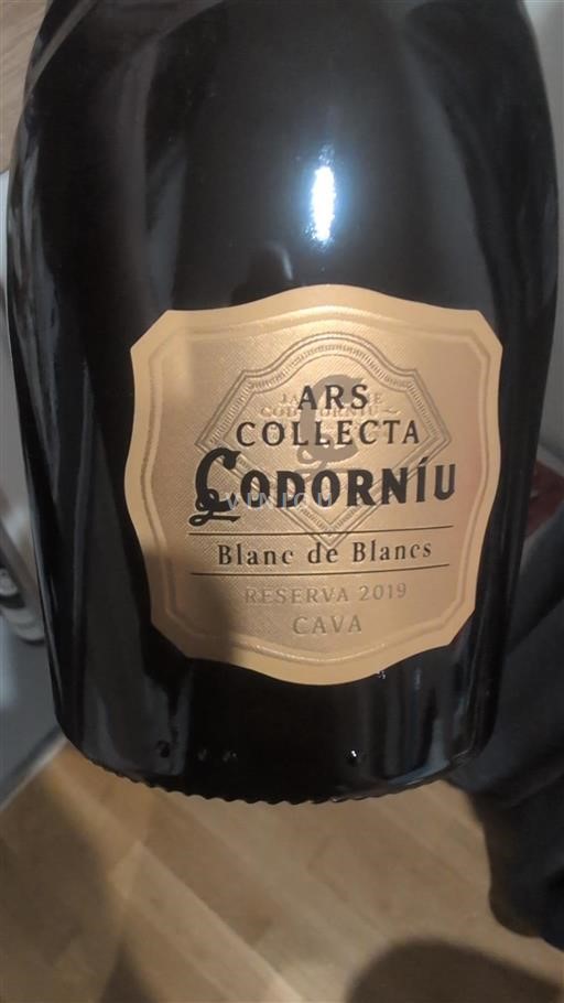 Katalonien Cava Codorníu Ars Collecta Blanc de Blancs 2019