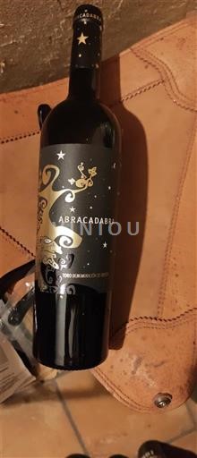 Castille và León Toro Abracadabra 2022