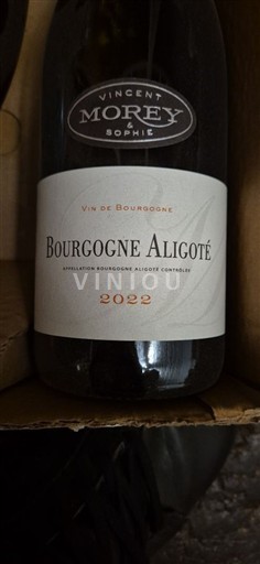 Burgundi Bourgogne Aligoté Vincent Morey & Sophie 2022