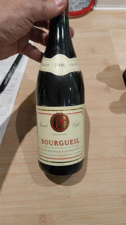 Vin Rouge sec Vieilles Vignes Gérard Léger 2009 France Vallée de la Loire Bourgueil AOC