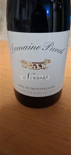Langvedok Grès de Montpellier Domaine Puech Noémie 2019