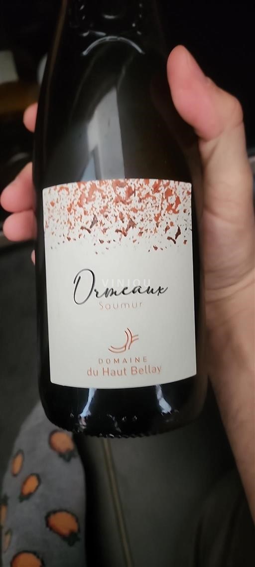 Loirevallei Saumur Domaine Haut Bellay Ormeaux 2022