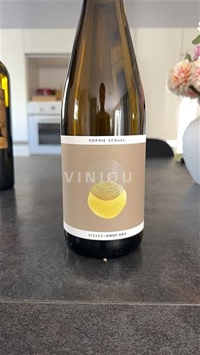 Alsacia Sophie Schaal 2024