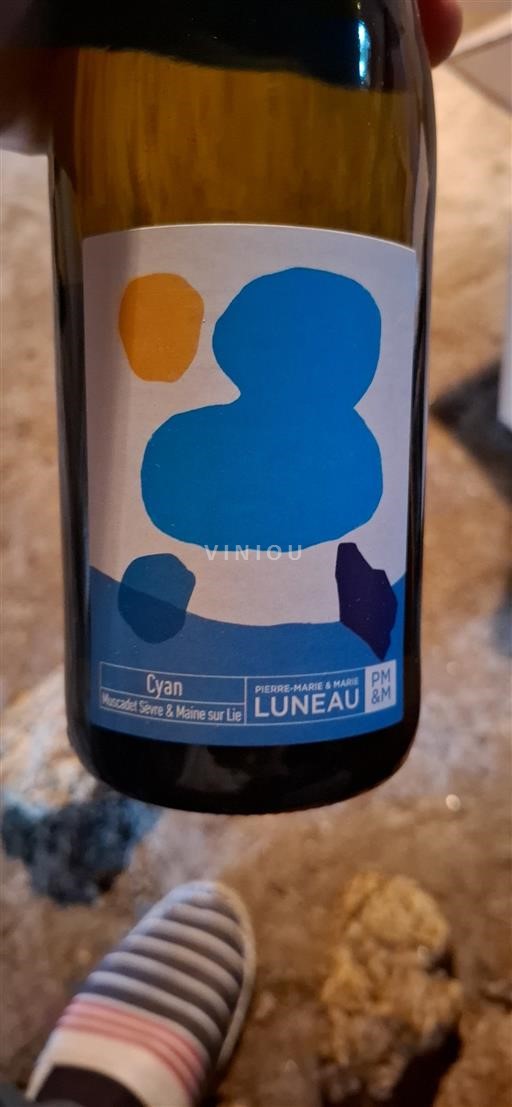 Dolina Loare Muscadet-sèvre-et-maine Pierre-Marie & Marie Luneau Cyan 2023