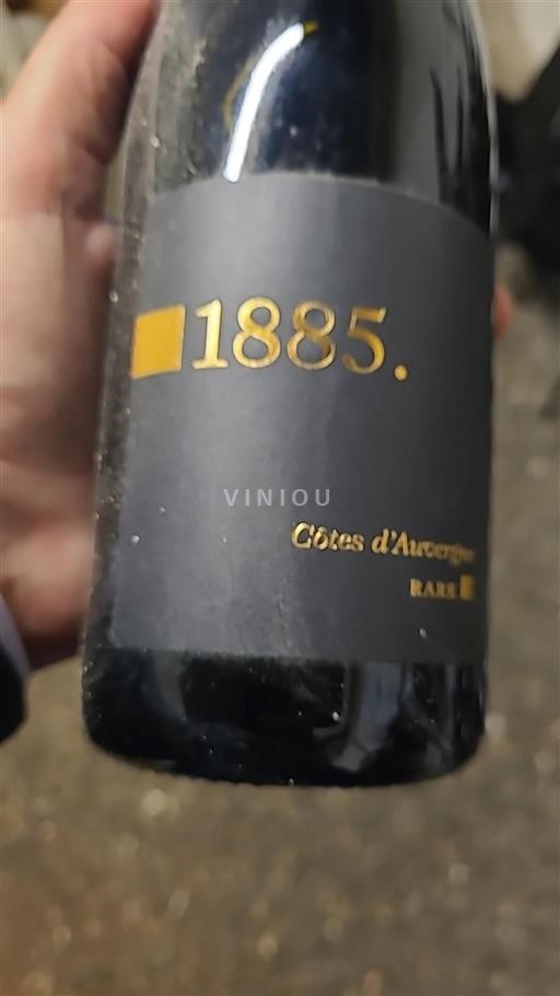 Loiretal Côtes d'Auvergne Rare Ohne Jahrgang