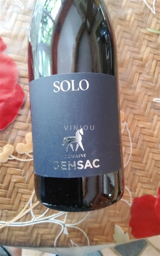 Sudoeste No especificado Domaine Gensac Solo Sin añada