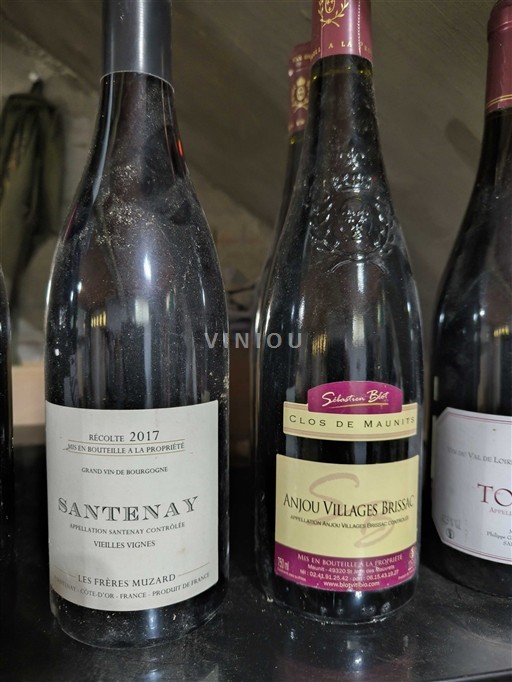 Borgoña Santenay Les Frères Muzard 2017