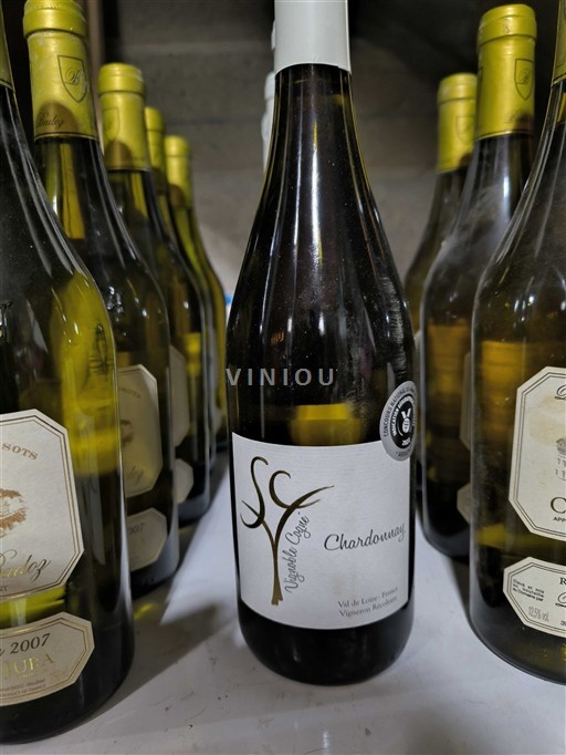 Dolina Loare Vignoble Cogez Chardonnay Neleten.