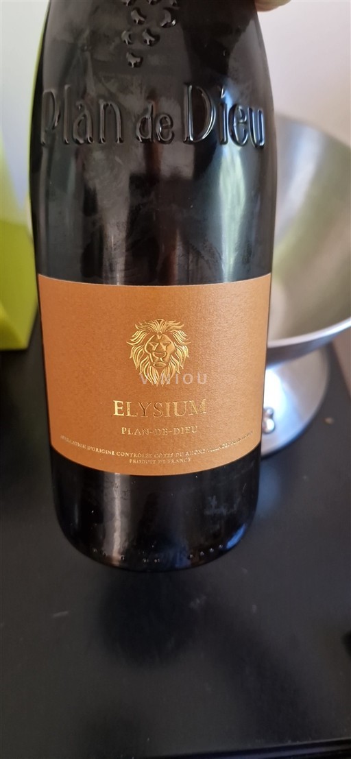 Rhônen laakso Määrittelemätön Elysium 2021 2021
