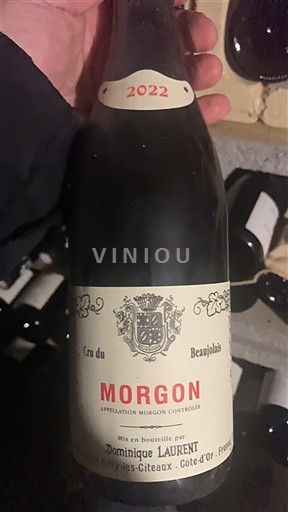 Beaujolais Morgon Dominique Laurent 2022