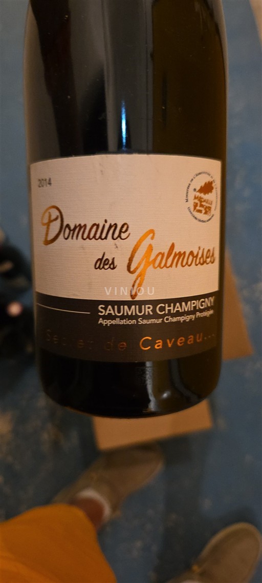 Valle della Loira Saumur-Champigny Domaine Des Galmoises Secret de Caveau 2014