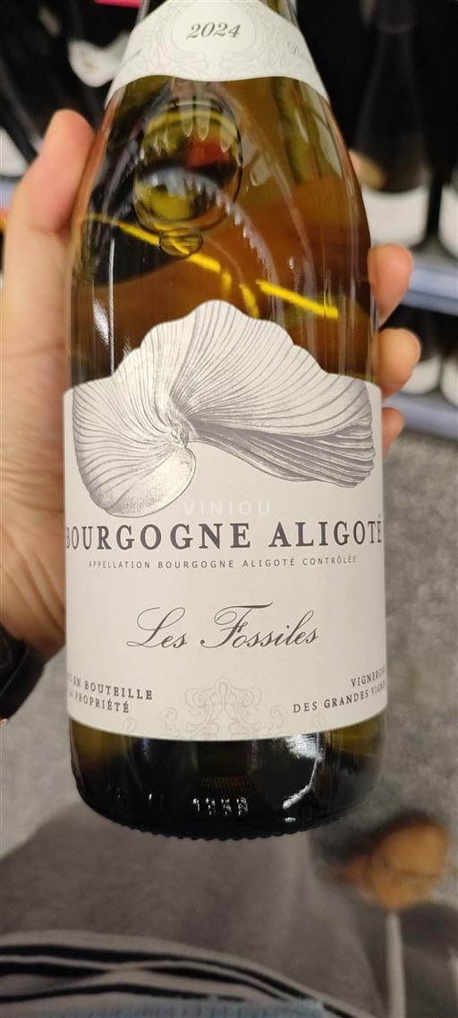 Burgundy Bourgogne Aligoté Les Fossiles 2024