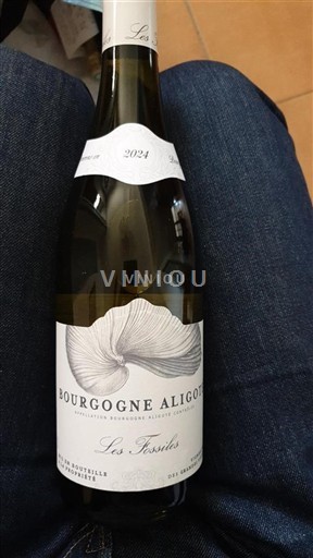 Burgund Bourgogne-aligoté Les Fossiles 2024