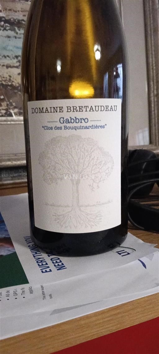 Loiretal Muscadet-Sèvre-et-Maine Domaine Bretaudeau Gabbro Clos des Bouquinardières 2022