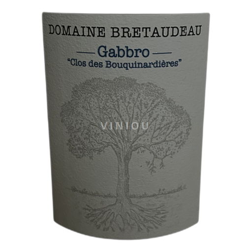 Thung lũng sông Loire Muscadet Sèvre et Maine Domaine Bretaudeau Gabbro Clos des Bouquinardières 2022
