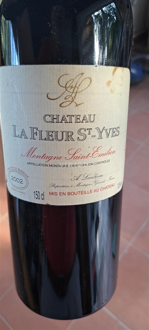 Bordeaux Montagne-saint-émilion Château La Fleur St-Yves 2002