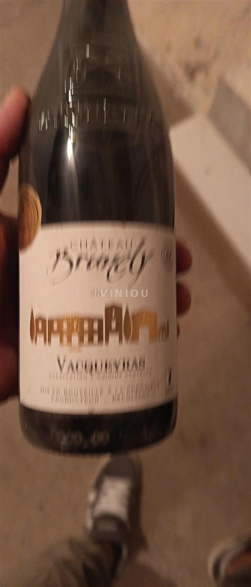 Valle della Loira Saumur Château Brézé 2022