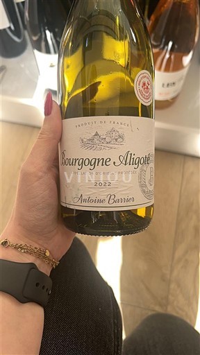 Bourgogne Bourgogne-aligoté Antoine Barrier 2022
