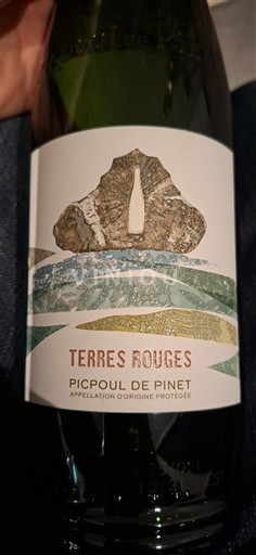 Languedoque Picpoul-de-Pinet Terres Rouges Não Sazonado