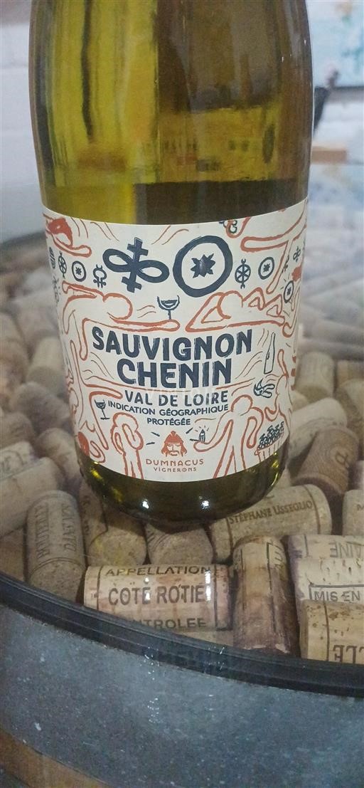 Dolina Loare Dumnacus Vignerons 2024