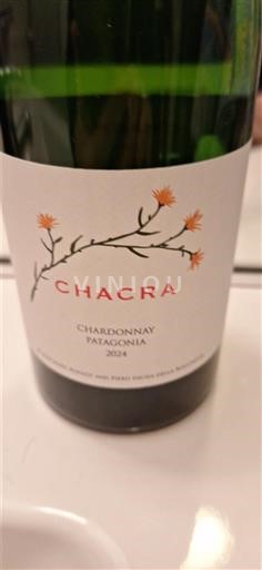 Patagonia Unspecified Chacra 2024