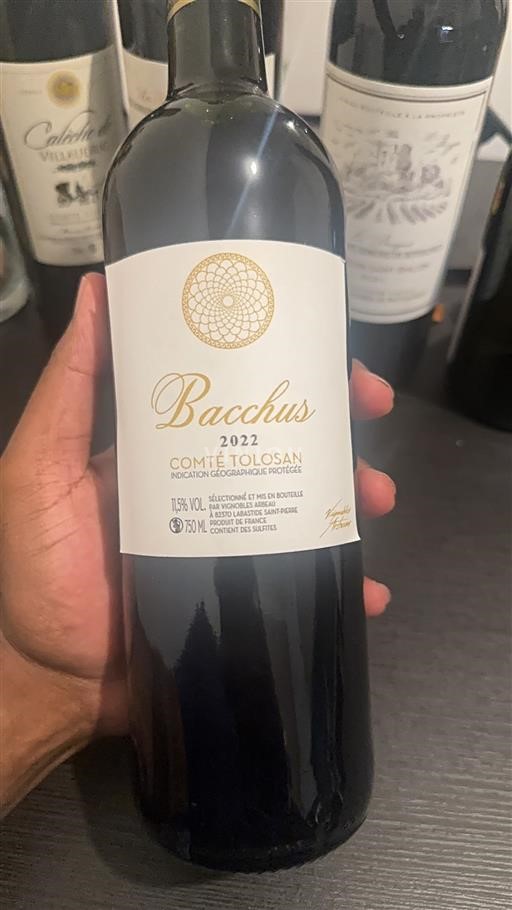 Südwestfrankreich Comté Tolosan Vignobles Arbeau Bacchus 2022